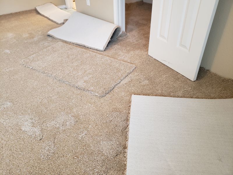 Carpet Repair