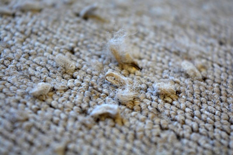 Restored Carpet Fiber